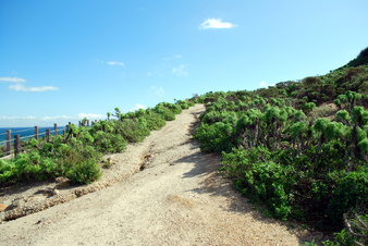 Enlarge photo 27