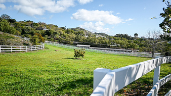 Enlarge photo 37