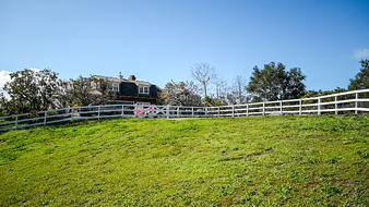 Enlarge photo 38