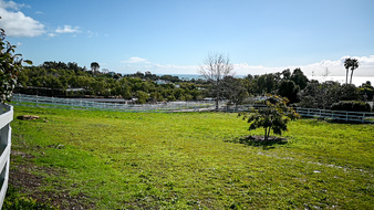 Enlarge photo 39