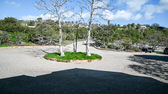 Enlarge photo 46