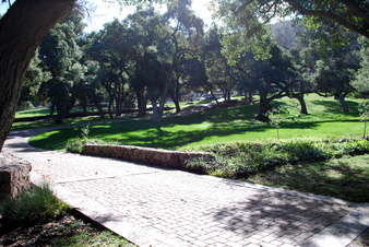 Enlarge photo 10