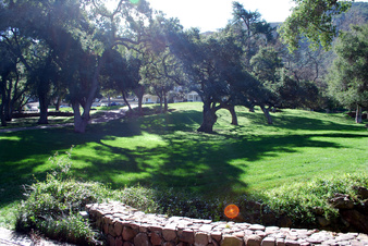 Enlarge photo 12