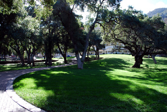 Enlarge photo 13