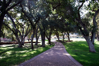 Enlarge photo 15