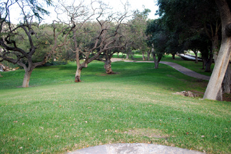 Enlarge photo 32