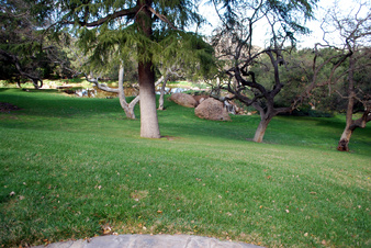 Enlarge photo 33