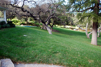 Enlarge photo 34