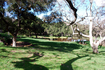 Enlarge photo 35