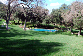 Enlarge photo 43