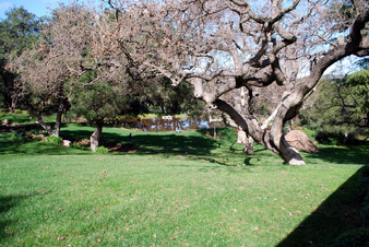 Enlarge photo 44