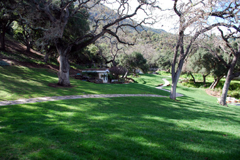 Enlarge photo 45