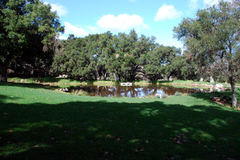 Enlarge photo 46