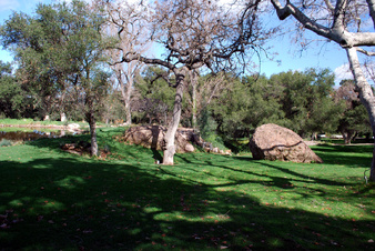 Enlarge photo 47