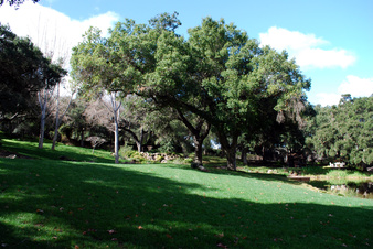 Enlarge photo 48