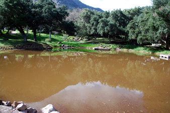 Enlarge photo 49
