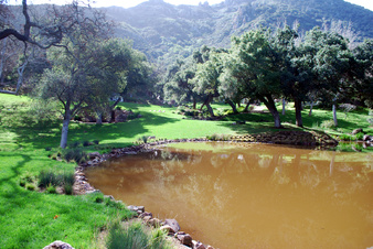 Enlarge photo 50