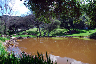 Enlarge photo 51