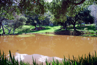 Enlarge photo 52