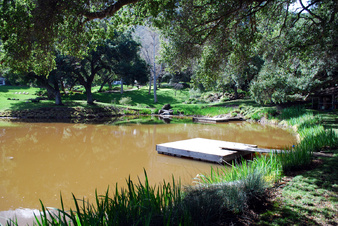 Enlarge photo 53
