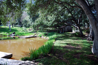 Enlarge photo 55