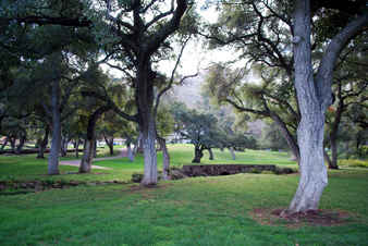Enlarge photo 56