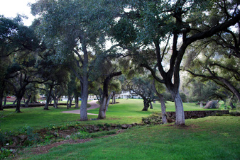 Enlarge photo 57