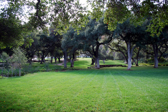 Enlarge photo 58
