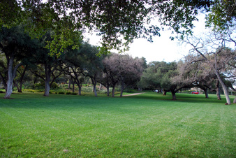 Enlarge photo 59