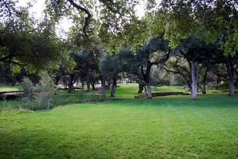 Enlarge photo 60