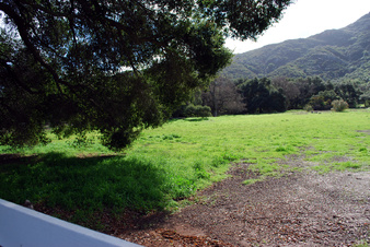 Enlarge photo 61