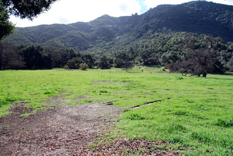Enlarge photo 62