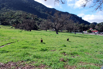 Enlarge photo 63