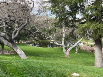 Enlarge photo 88