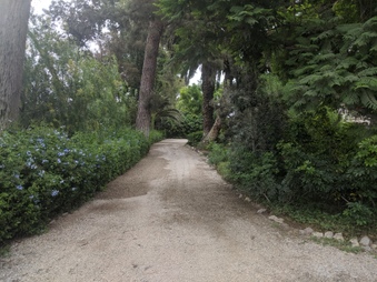 Enlarge photo 8