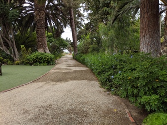 Enlarge photo 20