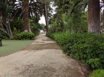 Enlarge photo 21