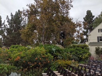 Enlarge photo 37