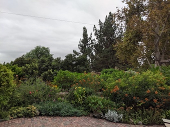 Enlarge photo 38
