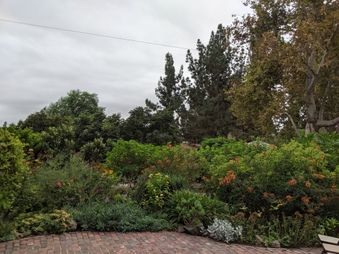 Enlarge photo 39