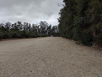 Enlarge photo 164