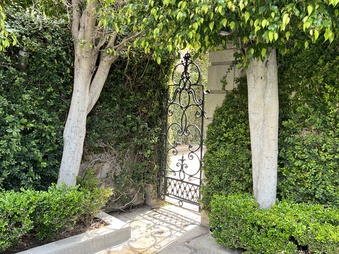 Enlarge photo 52