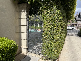 Enlarge photo 53