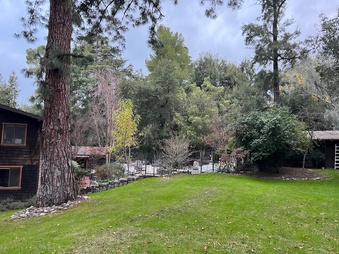Enlarge photo 39