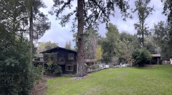 Enlarge photo 37