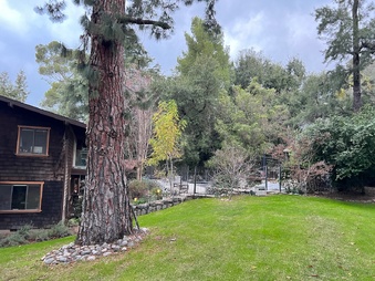 Enlarge photo 35