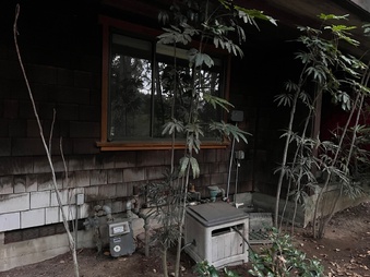 Enlarge photo 30