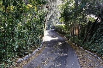 Enlarge photo 3