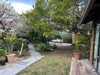 Enlarge photo 3
