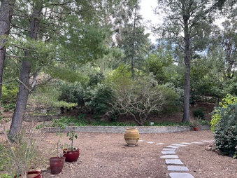 Enlarge photo 109